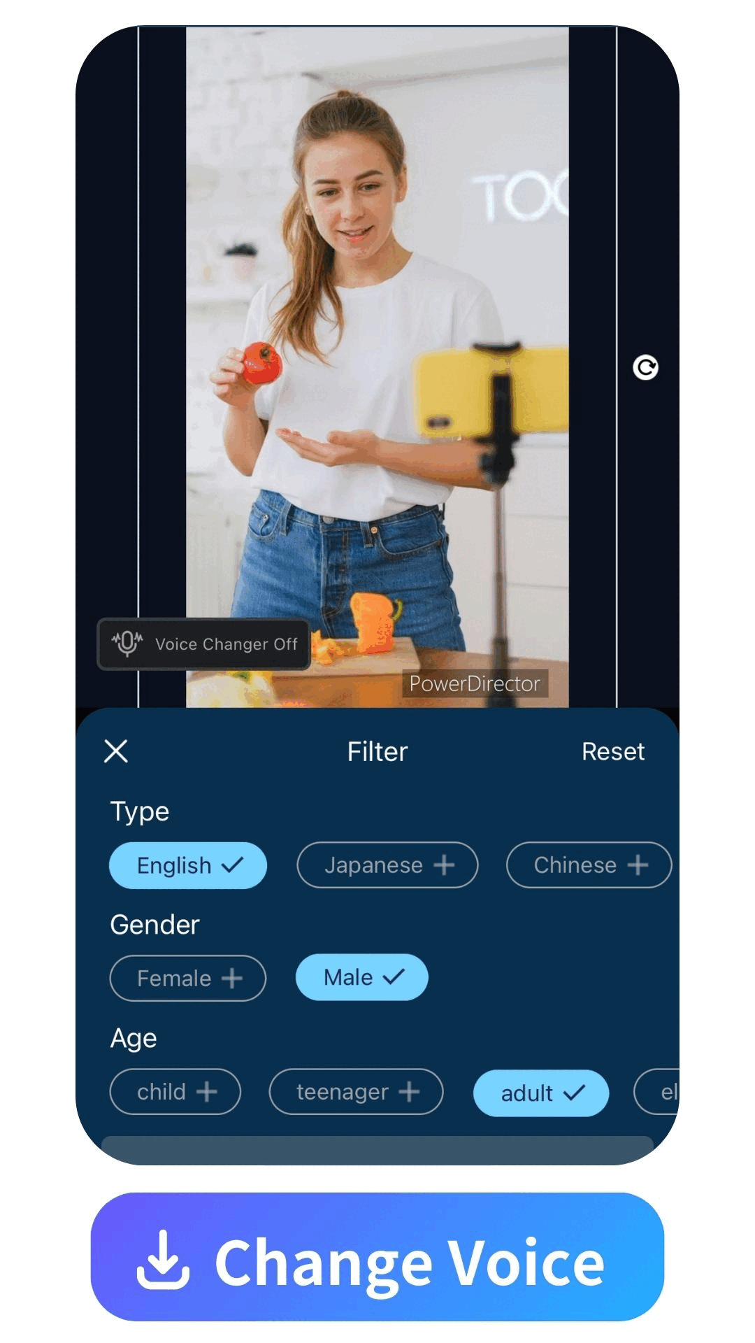 PowerDirector Interface